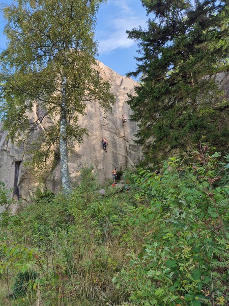 Masken in beautiful autumn colors. 